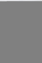 Load image into Gallery viewer, Top Green-Palms Frufru
